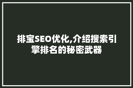 排宝SEO优化,介绍搜索引擎排名的秘密武器