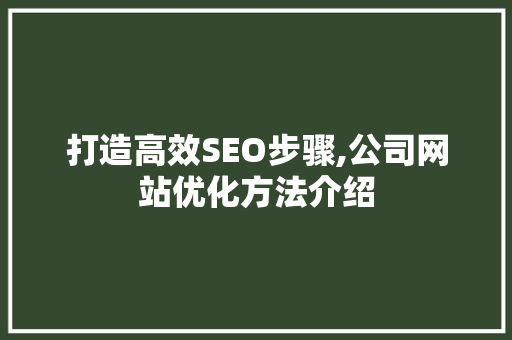 打造高效SEO步骤,公司网站优化方法介绍