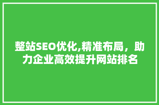 整站SEO优化,精准布局，助力企业高效提升网站排名