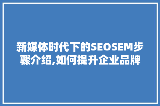 新媒体时代下的SEOSEM步骤介绍,如何提升企业品牌影响力