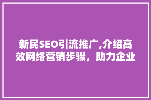 新民SEO引流推广,介绍高效网络营销步骤，助力企业腾飞
