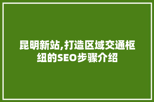 昆明新站,打造区域交通枢纽的SEO步骤介绍