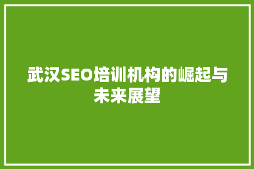 武汉SEO培训机构的崛起与未来展望