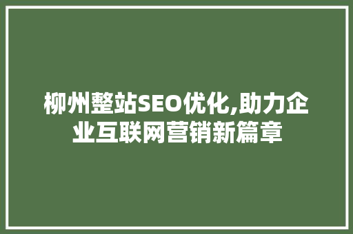 柳州整站SEO优化,助力企业互联网营销新篇章