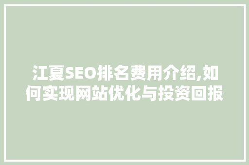 江夏SEO排名费用介绍,如何实现网站优化与投资回报最大化