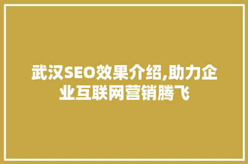 武汉SEO效果介绍,助力企业互联网营销腾飞
