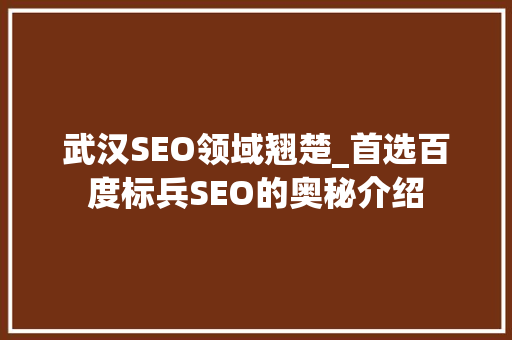 武汉SEO领域翘楚_首选百度标兵SEO的奥秘介绍