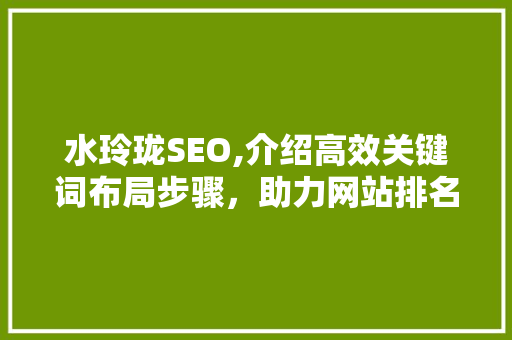 水玲珑SEO,介绍高效关键词布局步骤，助力网站排名跃升