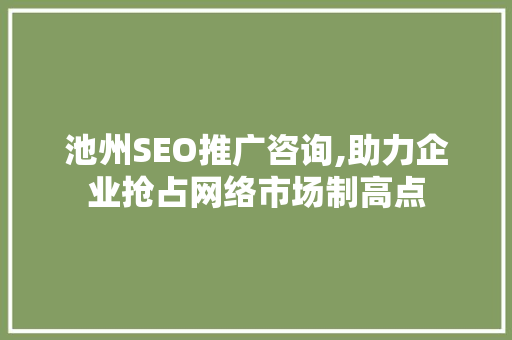 池州SEO推广咨询,助力企业抢占网络市场制高点