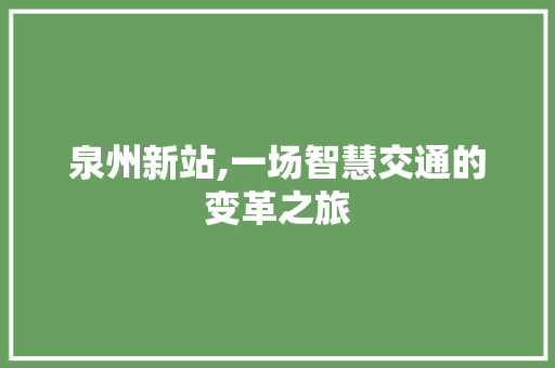 泉州新站,一场智慧交通的变革之旅