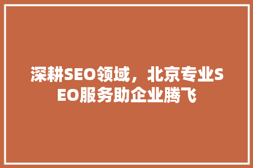 深耕SEO领域，北京专业SEO服务助企业腾飞