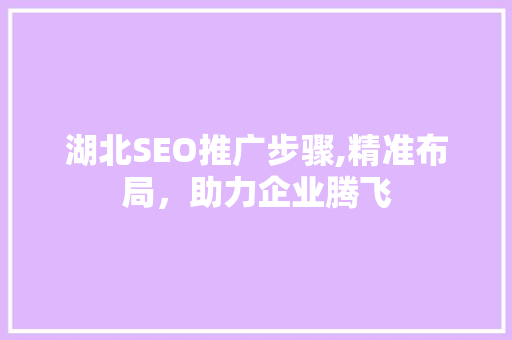 湖北SEO推广步骤,精准布局，助力企业腾飞