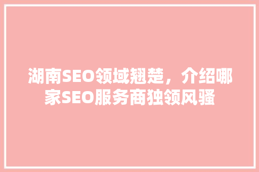 湖南SEO领域翘楚，介绍哪家SEO服务商独领风骚
