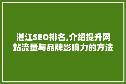 湛江SEO排名,介绍提升网站流量与品牌影响力的方法