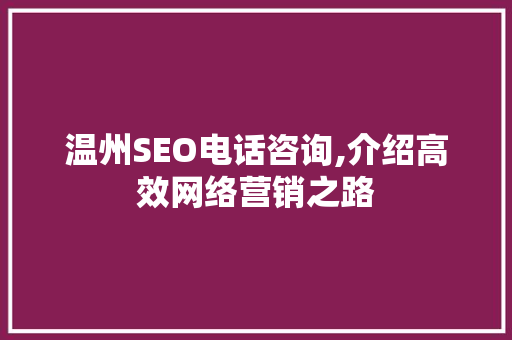 温州SEO电话咨询,介绍高效网络营销之路