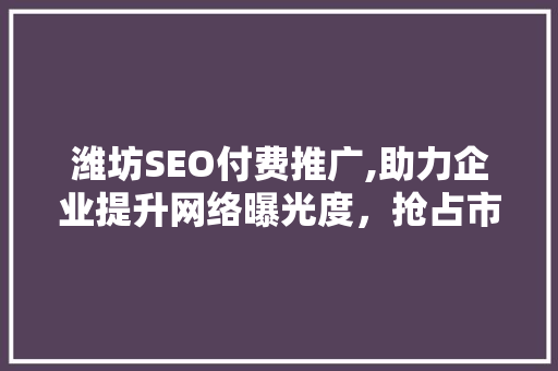 潍坊SEO付费推广,助力企业提升网络曝光度，抢占市场先机