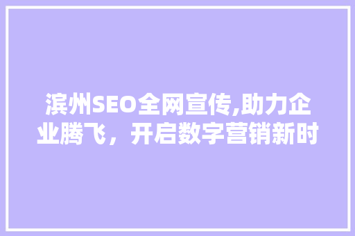 滨州SEO全网宣传,助力企业腾飞，开启数字营销新时代