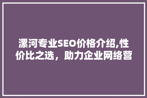 漯河专业SEO价格介绍,性价比之选，助力企业网络营销腾飞