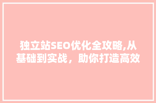 独立站SEO优化全攻略,从基础到实战，助你打造高效流量入口