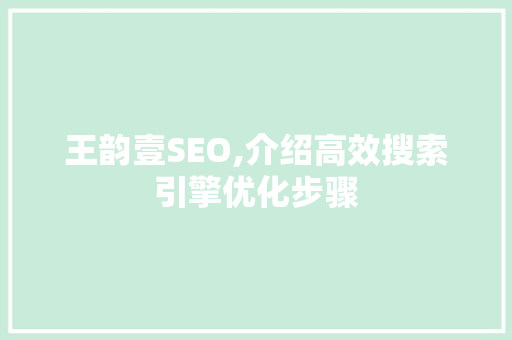 王韵壹SEO,介绍高效搜索引擎优化步骤