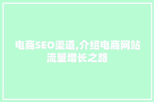 电商SEO渠道,介绍电商网站流量增长之路