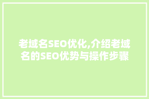 老域名SEO优化,介绍老域名的SEO优势与操作步骤