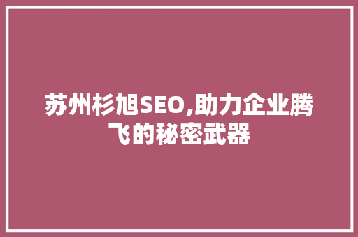 苏州杉旭SEO,助力企业腾飞的秘密武器