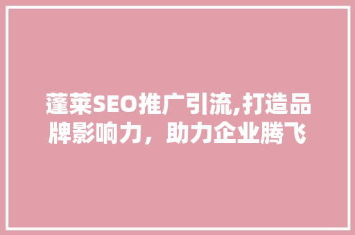 蓬莱SEO推广引流,打造品牌影响力，助力企业腾飞