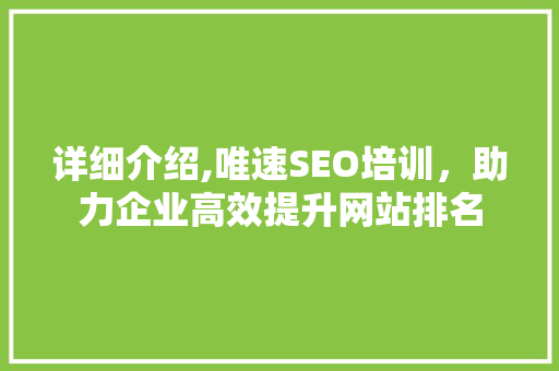 详细介绍,唯速SEO培训，助力企业高效提升网站排名