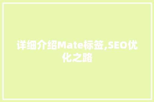 详细介绍Mate标签,SEO优化之路