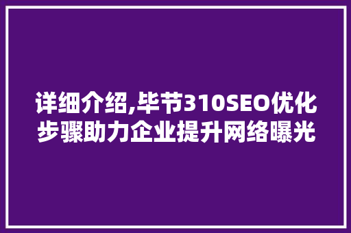 详细介绍,毕节310SEO优化步骤助力企业提升网络曝光度