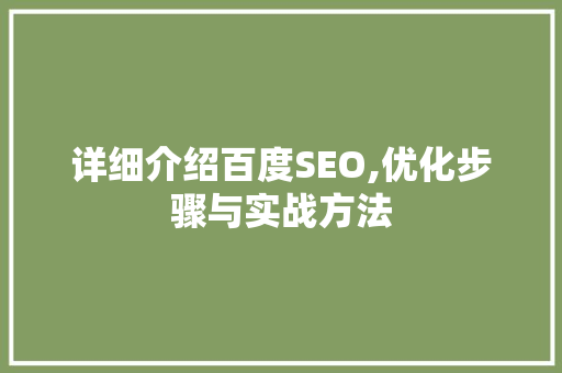 详细介绍百度SEO,优化步骤与实战方法