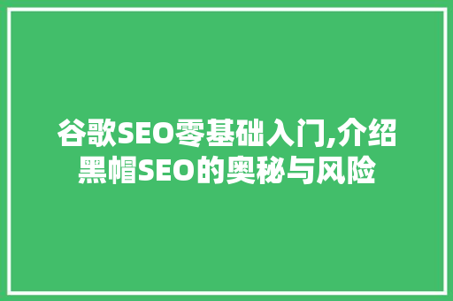 谷歌SEO零基础入门,介绍黑帽SEO的奥秘与风险