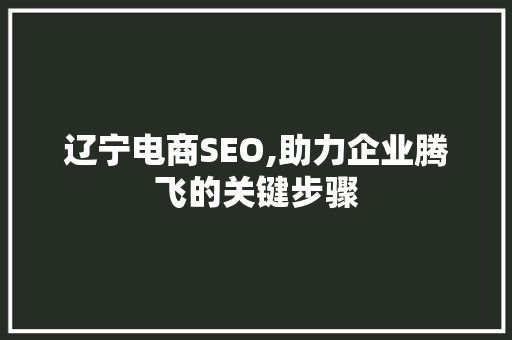 辽宁电商SEO,助力企业腾飞的关键步骤