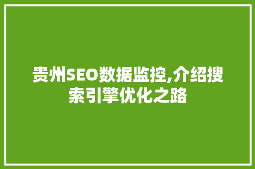 贵州SEO数据监控,介绍搜索引擎优化之路