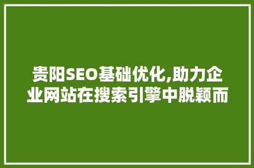 贵阳SEO基础优化,助力企业网站在搜索引擎中脱颖而出