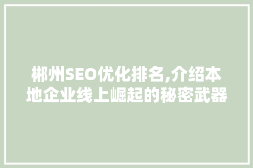 郴州SEO优化排名,介绍本地企业线上崛起的秘密武器