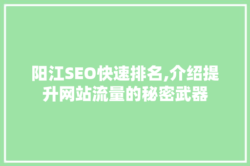 阳江SEO快速排名,介绍提升网站流量的秘密武器