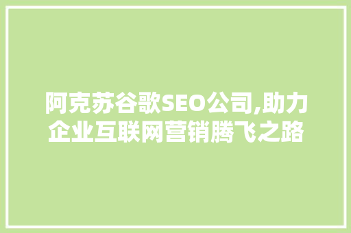 阿克苏谷歌SEO公司,助力企业互联网营销腾飞之路