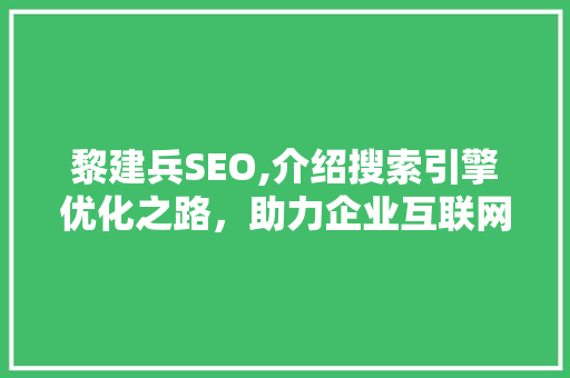 黎建兵SEO,介绍搜索引擎优化之路，助力企业互联网营销