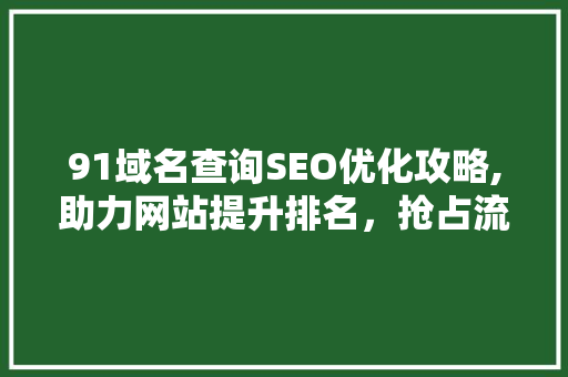 91域名查询SEO优化攻略,助力网站提升排名，抢占流量红利