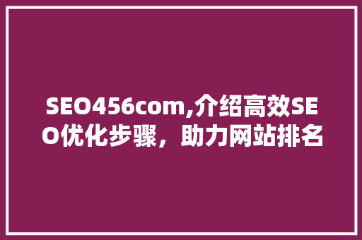 SEO456com,介绍高效SEO优化步骤，助力网站排名飞跃