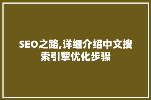 SEO之路,详细介绍中文搜索引擎优化步骤