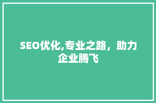 SEO优化,专业之路，助力企业腾飞