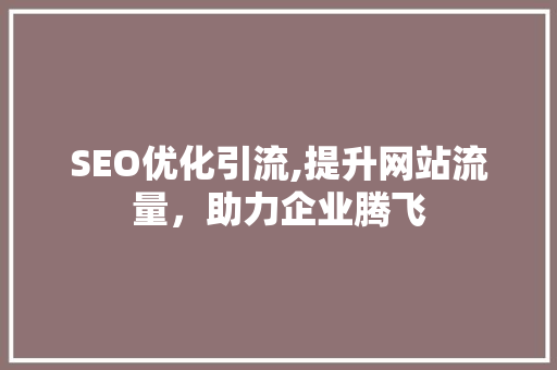 SEO优化引流,提升网站流量，助力企业腾飞