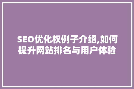 SEO优化权例子介绍,如何提升网站排名与用户体验