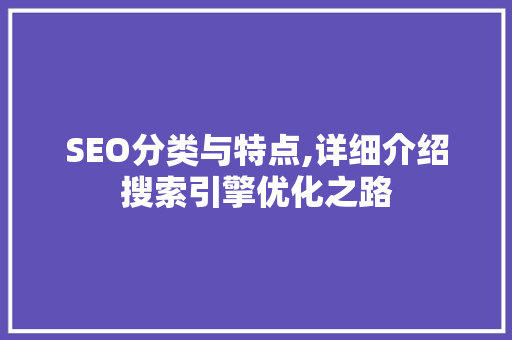 SEO分类与特点,详细介绍搜索引擎优化之路