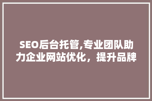 SEO后台托管,专业团队助力企业网站优化，提升品牌竞争力