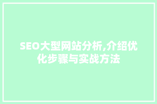 SEO大型网站分析,介绍优化步骤与实战方法