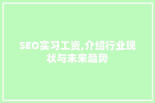 SEO实习工资,介绍行业现状与未来趋势